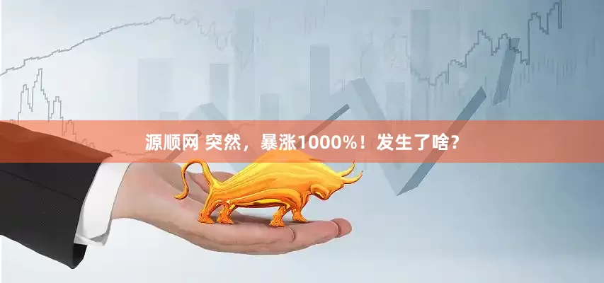 源顺网 突然，暴涨1000%！发生了啥？
