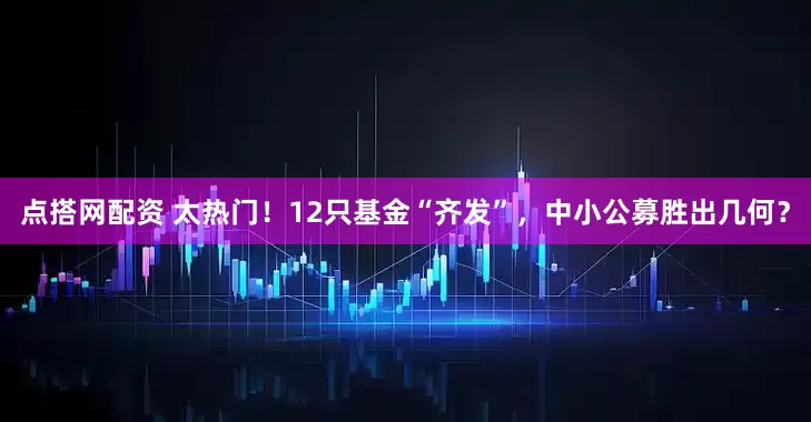 点搭网配资 太热门！12只基金“齐发”，中小公募胜出几何？