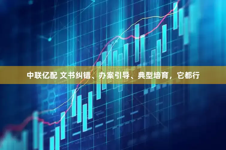 中联亿配 文书纠错、办案引导、典型培育，它都行