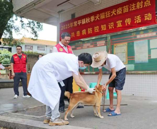 易资配 常平：开展犬猫狂犬疫苗免费接种活动