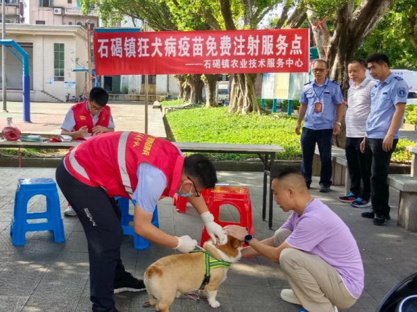 米涂配资 石碣：启动秋季动物防疫工作