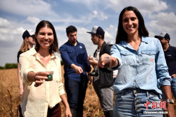 牛盈服务中心 巴西再生农业方兴未艾 新技术应对气候变化